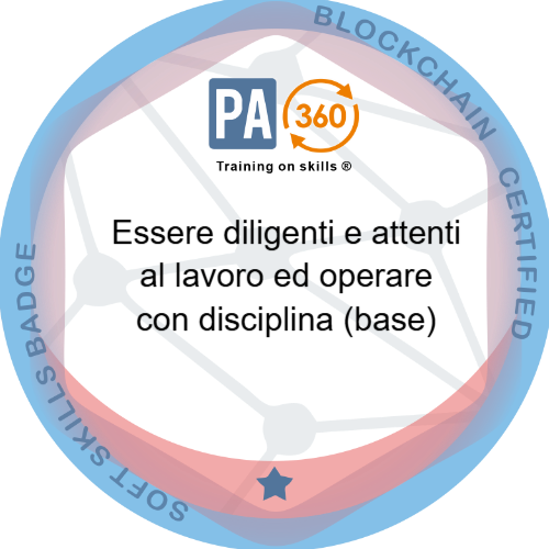 Essere diligenti e attenti al lavoro ed operare con disciplina (base)